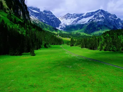 Обои горы, mount, day, sun, summer, beautiful, village, wide, meadow, green,  landscape, switzerland на рабочий стол