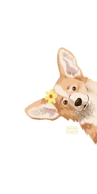 wallpaper corgi / обои на рабочий стол корги | Щенки корги, Милые щенки,  Котята