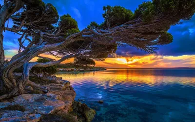 Обои для рабочего стола Stella Maris, Bahamas Море Скала Природа