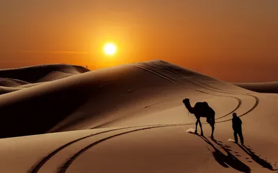 Фото Объединённые Арабские Эмираты Abu Dhabi Пустыни 2400x1643