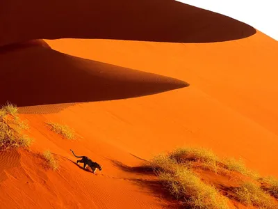 Обои пустыня, ночь, песок, эолийские рельефы, эрг - картинка на рабочий стол  и фото бесплатно