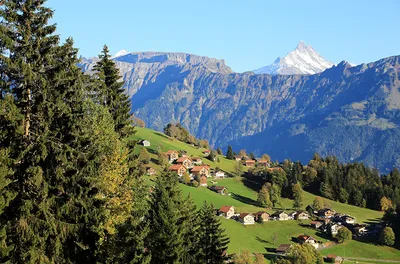 Обои на рабочий стол Домики в окружении леса и снежных гор, Швейцария /  Switzerland, обои для рабочего стола, скачать обои, обои бесплатно
