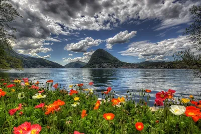 Обои горы, швейцария, швейцарии, раздел Природа, размер 2560x1600 Wide -  скачать бесплатно картинку на рабочий стол и телефон