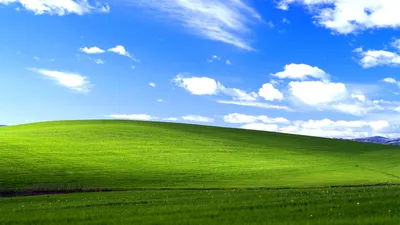 Скачать обои Windows Xp Bliss, Windows, Xp, Bliss в разрешении 1920x1080 на рабочий  стол