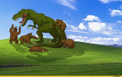 Windows XP — Википедия