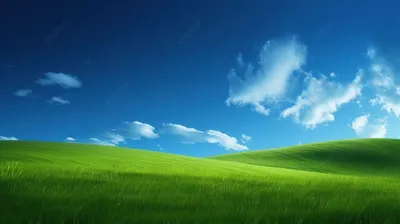 Старые добрые обои Windows XP | Пикабу