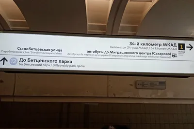 Власти Москвы объяснили указатели в метро на узбекском и таджикском — РБК