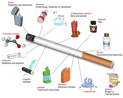 Бросить Курить Всемирный День Без Табака — стоковая векторная графика и  другие изображения на тему Курить - Курить, Опасность, Лёгкое - iStock