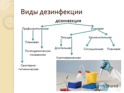 Семинар «Современные универсальные дезинфектанты для поддержания санитарии  на молочных фермах»