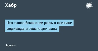 Синяки могут пройти, а душевная боль – нет» - LES