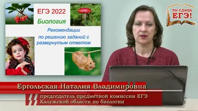 Музаев рассказал, когда темы по СВО появятся в ЕГЭ - РИА Новости, 22.11.2022