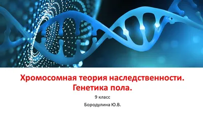 Мифические гены\". Генетика в советском словаре 1954 года - Антропогенез.РУ