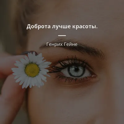 Пажитник - полезные свойства для здоровья и красоты - Dobavki.ua