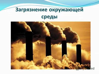 От загрязнения воздуха каждый год умирают 7 миллионов человек | Новости ООН