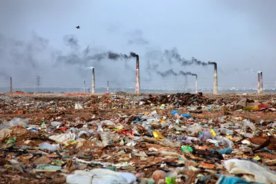 Загрязнение является причиной каждой шестой смерти в мире – DW – 18.05.2022