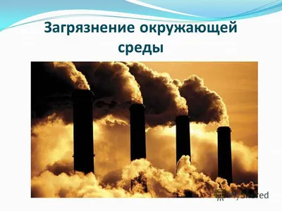 Презентация по географии на тему \"Загрязнение и охрана окружающей среды\"  (10 класс)