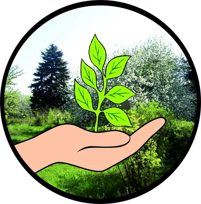 Бесплатные шаблоны плакатов о защите окружающей среды | Скачать дизайн и  макет для экологических постеров онлайн | Canva