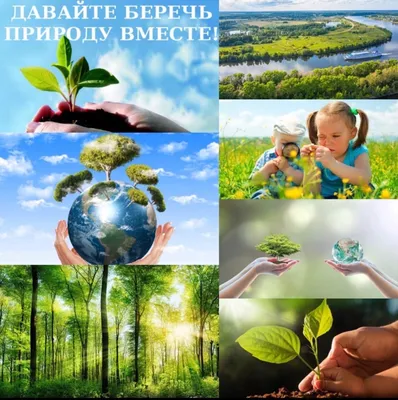 Охрана природы реферат по экологии | Сочинения Экология и охрана окружающей  среды | Docsity