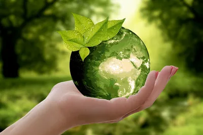 Природа Земля Устойчивость - Бесплатное фото на Pixabay - Pixabay