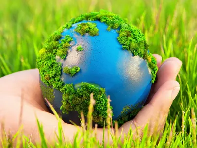 Экология и охрана окружающей среды | InfoRealm | Дзен