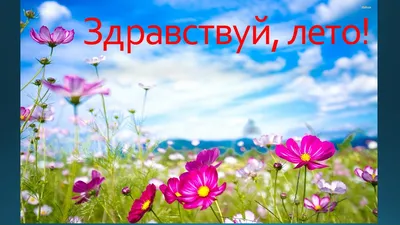 Выставка детских рисунков на тему «Здравствуй, Лето!» » Детский сад №156 г.  Саратов