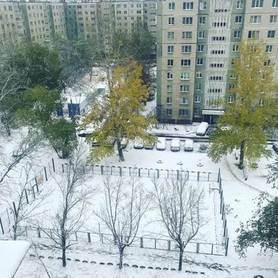 Зима пришла!)