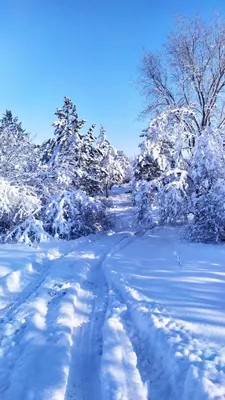 Зима пришла в Ростов | Пикабу