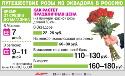https://kherson-news.ru/society/2024/03/07/280148.html