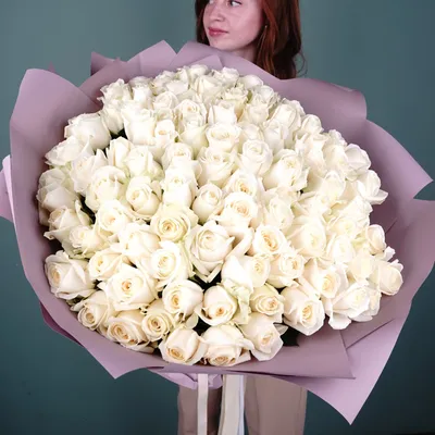 Белые розы - обои для рабочего стола, картинки, фото