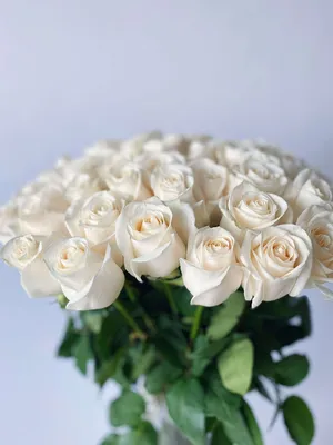 Открытка-мини С 8 марта белые цветы 13,5*9 см 1 шт в Самаре - купить по  цене 20 руб. в интернет-магазине Веселая Затея