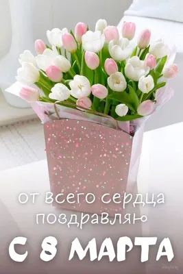 https://www.instagram.com/amelia.flowers39/p/C4DwD9isiz5/