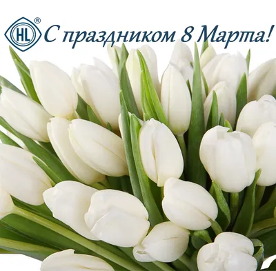 Тюльпаны на 8 марта купить в Краснодаре с доставкой от интернет-магазина  КОФЕЦВЕТЫ