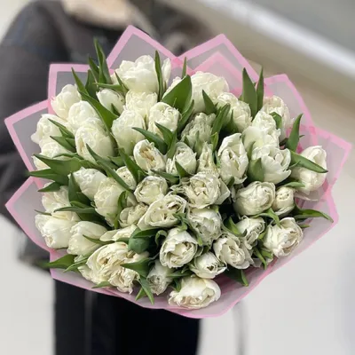 Купить Открытка-инстаграм \"8 Марта\" белые тюльпаны, 8,8 х 10,7 см в  Новосибирске, цена, недорого - интернет магазин Подарок Плюс
