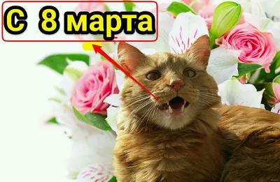 с 8 марта поздравляю, от все души тебе желаю. 😍❤️💋💋💋🌹#🤪ПоЗиТиВкА... |  TikTok