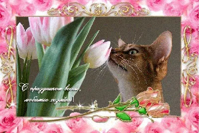 Статуэтка кот 8 марта » maket.LaserBiz.ru - Макеты для лазерной резки