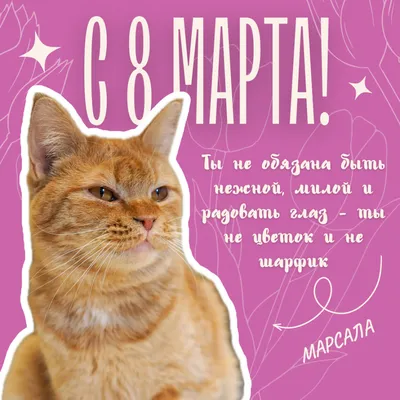 Раскраска на 8 марта с животными - скачать бесплатно на сайте WishesCards.ru