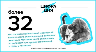 Эти забавные животные опубликовал пост от 8 марта 2023 в 09:25 | Фотострана  | Пост №2563938678