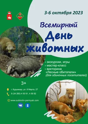 Животные в Московском зоопарке 8 Марта получили необычные угощения: видео  // Новости НТВ