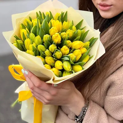 Тюльпан желтый /Tulipa/