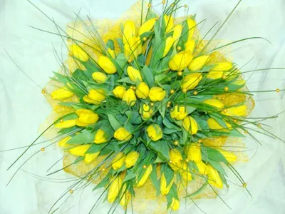 Купить Жёлтые в Минске с доставкой из цветочного магазина