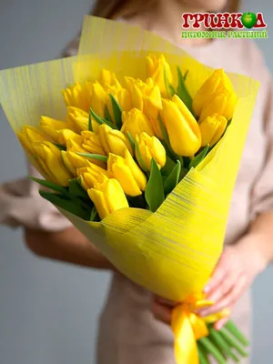 Обои весна, Тюльпаны, розовые, 8 марта, желтые на телефон и рабочий стол,  раздел цветы, разрешение 4000x3000 - скачать