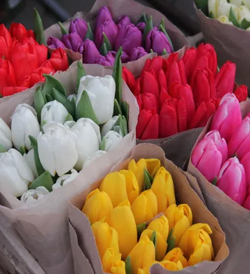 151 розово-желтые тюльпаны в букете за 61 690 руб. | Бесплатная доставка  цветов по Москве