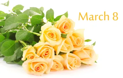 Тюльпаны желтые на 8 марта — купить в Екатеринбурге