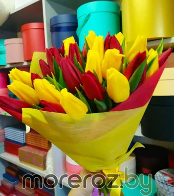 Желтые тюльпаны и подарок для любимой на 8 марта - обои для рабочего стола,  картинки, фото