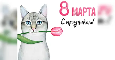 Приколы и поздравления на 8 марта (40 картинок)