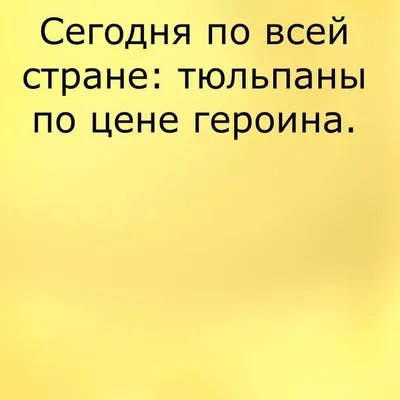 Анекдоты И Смешные Картинки в Instagram: «С 8 марта!🌺 #тюльпаны #8марта  #всемирныйженскийдень #праздник #цветы #цена #правдажизни #шутка… |  Картинки, Смешно, Шутки