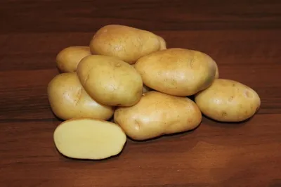 Картофель Олева (Oleva) | Сорта картофеля
