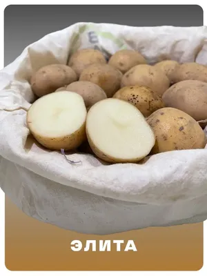 Купить Картофель с доставкой - категория Овощи в Vostorg