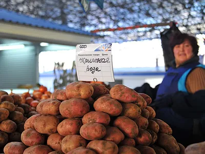 Картофель - купить по низкой цене с доставкой
