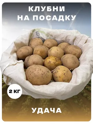 😋 Чемпион вкуса — картофель с желтой... - Беккер Казахстан | Facebook
